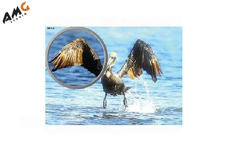 Tiffen 4x4 Neutral Density Filter  44ND (4 variations available) - Image 3 of 3