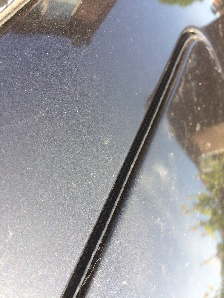Picture 4 of 5