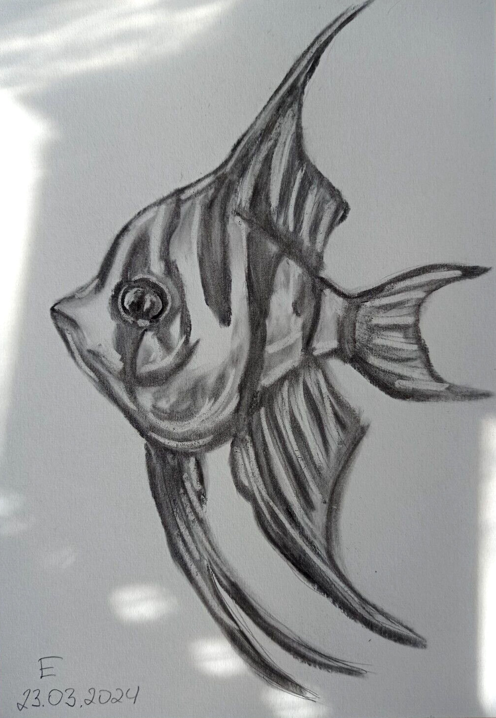 Original Dibujo Pez Lápiz Animales Dibujo Gráfico Arte Ilustración 8х6