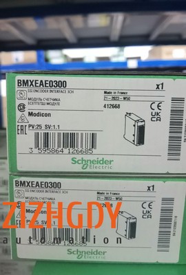 1PCS Brand New Schneider BMXEAE0300 SSI Encoder interface module  Fast delivery