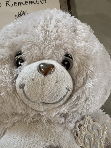13" PLUSH 25th SWAROVSKI CRYSTAL EYES SILVER TENDERHEART FLOPPY CARE BEAR TOY - Picture 9 of 10