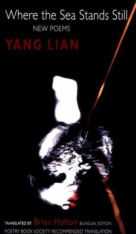 Where the Sea Stands Still - Lian, Yang