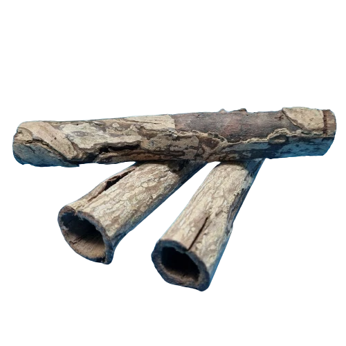 Seemandelbaum Rinden Röhre / Catappa bark / 10-15cm / Garnelen Aquarium