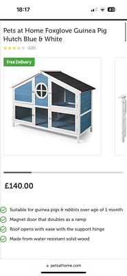 Pets at Home Foxglove Guinea Pig Hutch Blue White, Only Used Over  £140 UK