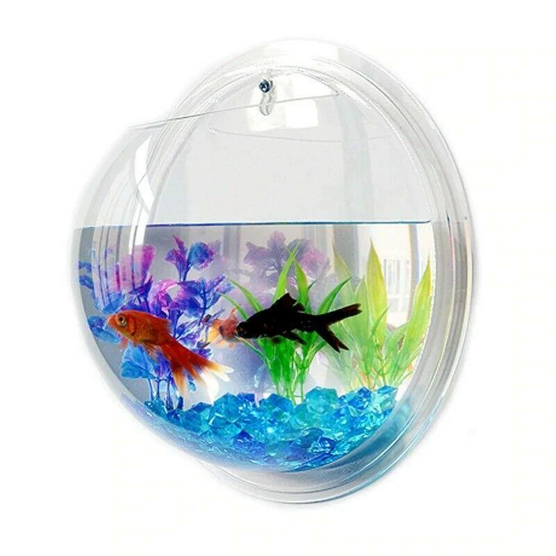 Fish Wall Bowl Beautiful Tank Plexiglass Pet Hanging Aquarium Mount Betta  Fish