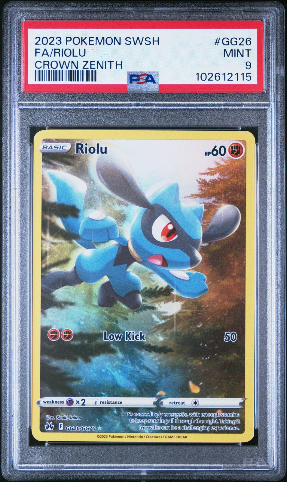 Riolu #GG26