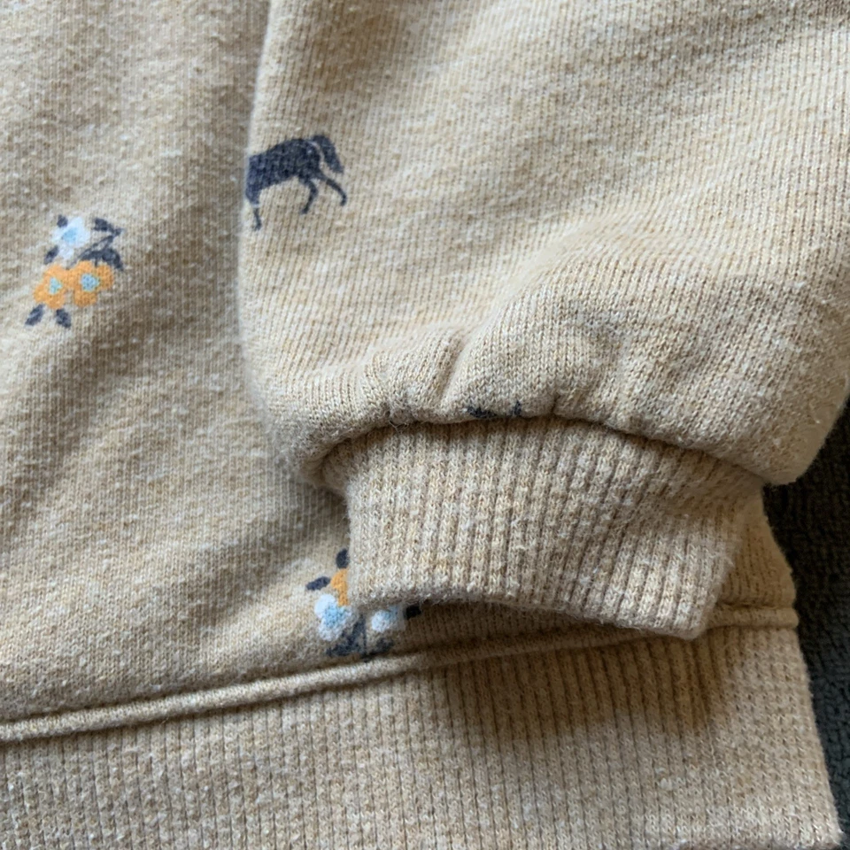Sudadera Janie and Jack Niño 2T - Beige Caballos y Floral Foto 4 de 4