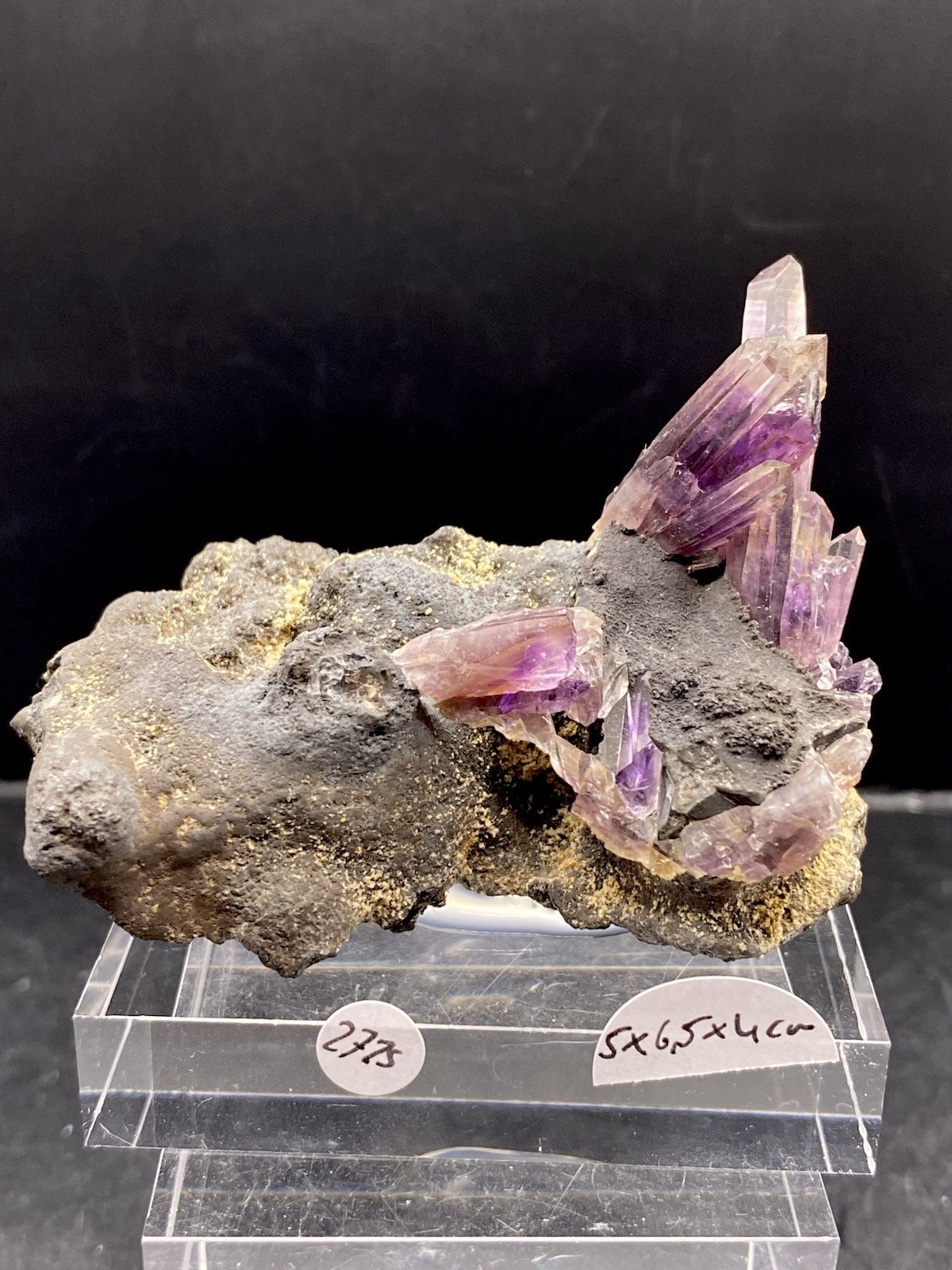 Amethyst Veracruz Mexico Mineralien Mineraliensammlung Edelsteine
