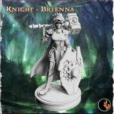 Elf Klerikerin Miniatur Elf Champion für D&D 5e Pathfinder RPG in 28mm 32mm 75mm