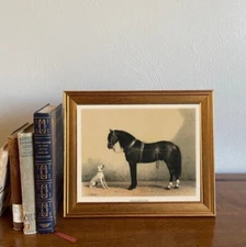 Framed Vintage-Style Horse & Dog Print | Farmhouse Cottagecore Wall Art