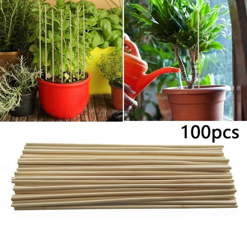 100 Tlg Bambus Holzpflanze Stöcke 20cm Gartenpflanzen Unterstützen Blumenstöcke - Bild 3 von 10