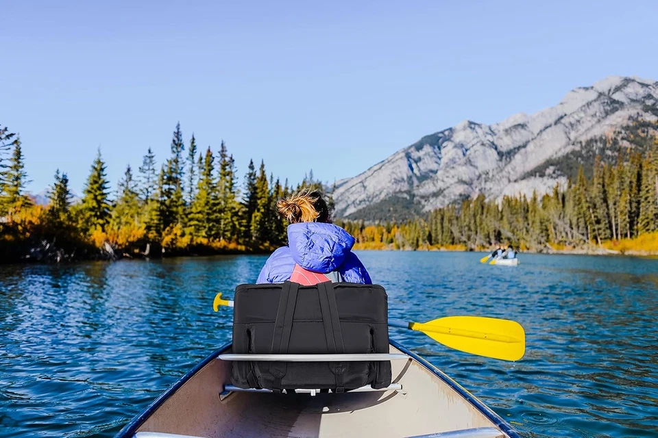 漂白者体育场座椅带背部支撑和厚垫靠垫 — 第 2/4 张图片