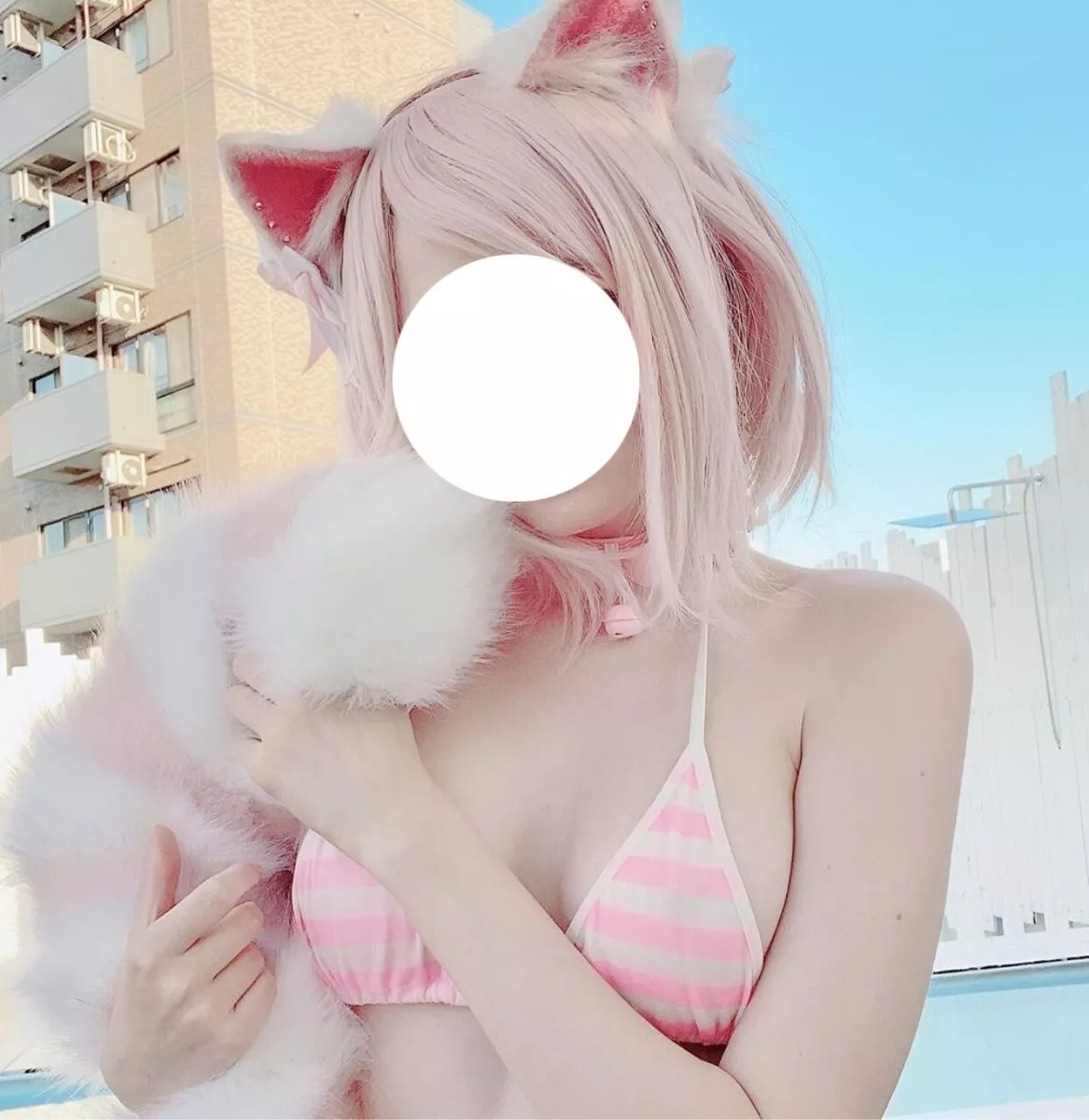 Steam Atölyesi::[Q] Anime Cat Girl Tiffy in bikini-demhanvico.com.vn
