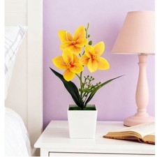 Realistic Cymbidium Orchid Potted Plant for Modern Interior Space Decor