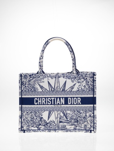 Dior Christian Dior Book Medium Blue/White Book Tote