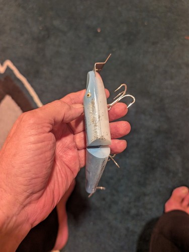 Large NEW Creek Chub Jointed Pikie - Picture 3 of 13