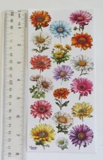 Violette Collection - COLORFUL DAISIES - 1 Sheet NEW RELEASE Stickers #C283