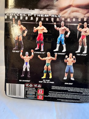 WWE CLASSIC SUPER STARS ビリー・グラハム