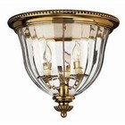 Hinkley Lighting Glass Cottage Chandeliers & Ceiling Fixtures