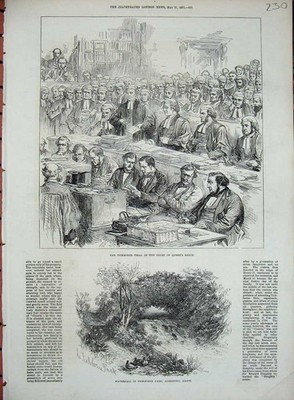 Alter antiker Druck Wasserfall Tichborne Park Hants 1871 Gerichtsprozess Königin 19.