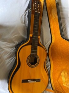 Tamura Guitar | eBay