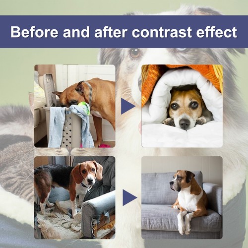 Bitter Spray for Pet Stop Chewing Behavior Corrector Training Aid for Dog & Cat - Picture 3 of 6