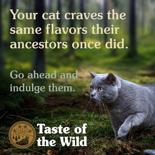 Taste of Wilde- Lowland Creek Feline Recipe - Picture 4 of 6