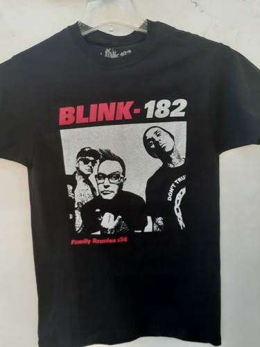Blink 182 RARE family reunion tour 2019 