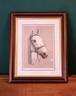 Desert Orchid Equine Portrait Horse Racing N.W. Brunyee Signed Ltd Edition Print