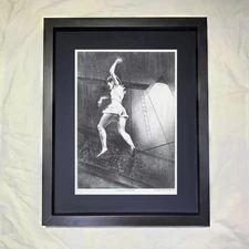 Dayton Brandfield "Aerial Artiste" CUSTOM FRAMED Art