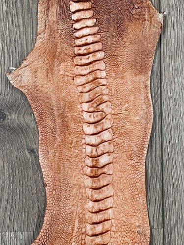 GENUINE OSTRICH LEG SKIN LEATHER HIDE EXOTIC LEATHER - Picture 6 of 6