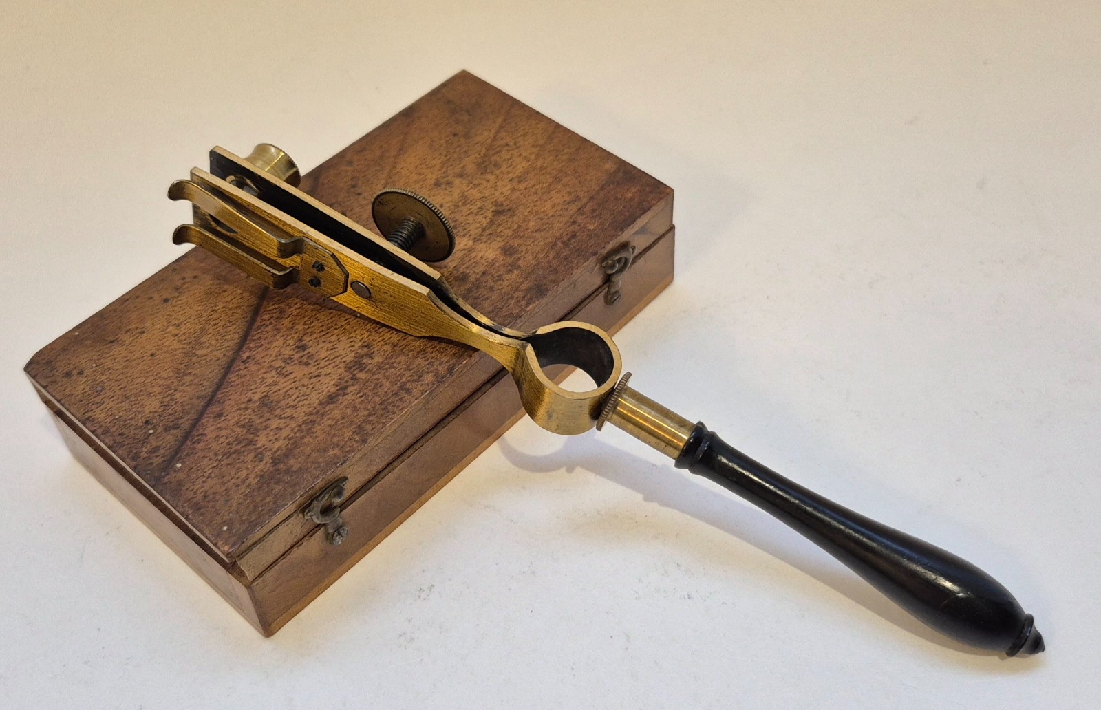 An unusual and late Joblot-type simple microscope, France, circa 1800