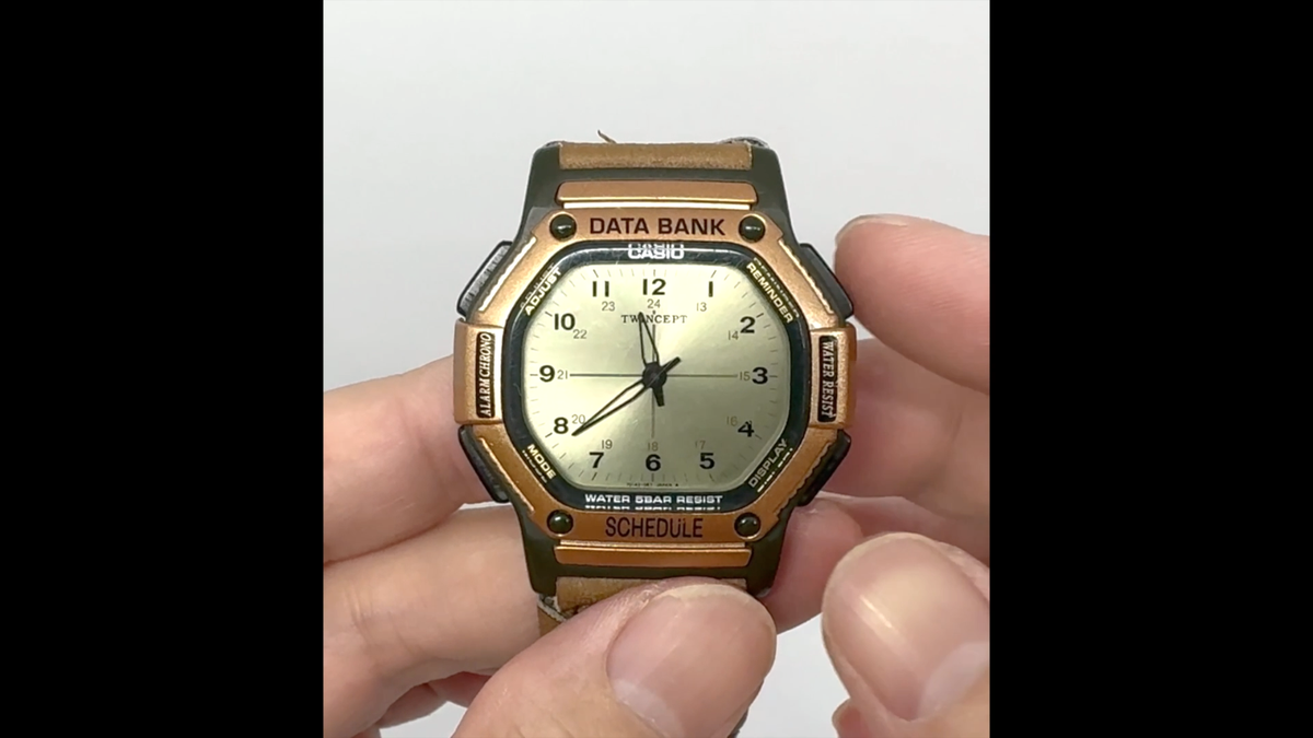 Vintage Casio ABX-57 Twincept Data Bank Digital Assistant