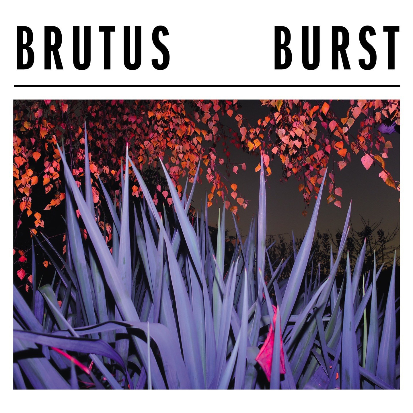 Альбом Brutus Burst (винил) 12 (ИМПОРТИРОВАН из Великобритании)