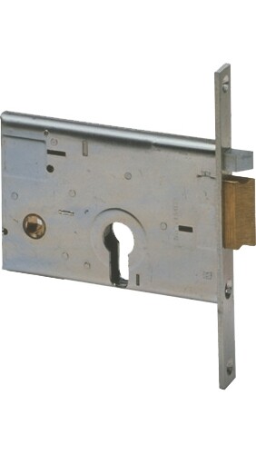 CISA Elettroserratura Infilare per Profilati - 14011/60/D