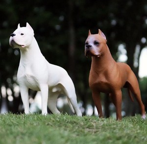 1 6 Scale Dogo Argentino Dog For 12 In Action Figures Toys Hobbie Army Soldier Ebay