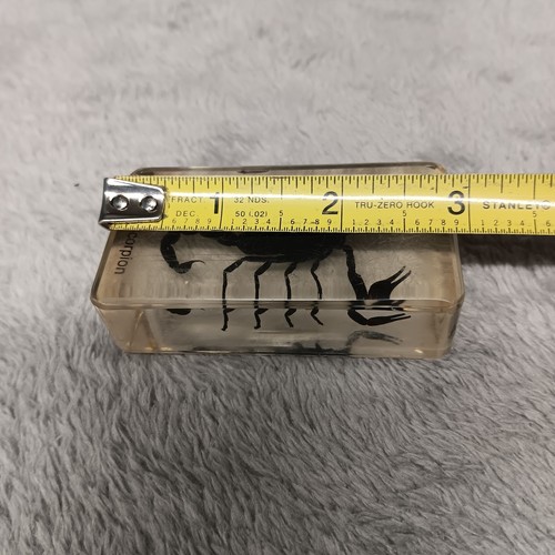Muestra de entomología de escorpión negro real suspendida en bloque de resina insectos ciencia - Imagen 7 de 11