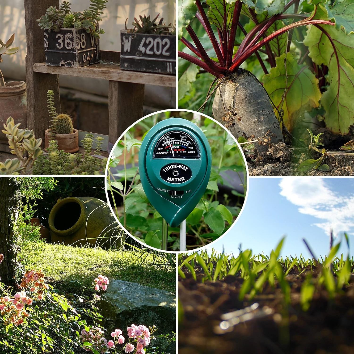 MEASUREMAN 3-in-1 Soil Tester with Moisture/Light/pH Test for Plants,... 