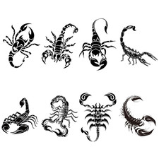 8 Sheets Black Scorpion Temporary Tattoos Animal Birthday Party Decorations Supp