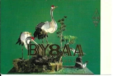 QSL 1982 Chengu China   radio  card