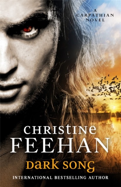 Dark Song by Christine Feehan (Paperback Book)