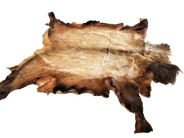 American Indian Elk Hide Robe Collectible - Excellent Condition