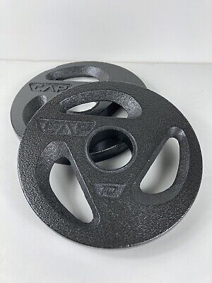 x2 10 LB CAP 1’’ Hole Iron GRIP Weight Plates Set of 2-20 Pound Total Training