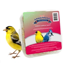 Armstrong Wild Bird Food Sweet Apple Suet Cake - High Energy, 11.3oz