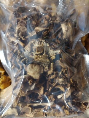 Dried Wild Chanterelle Mushrooms 4 oz 2025