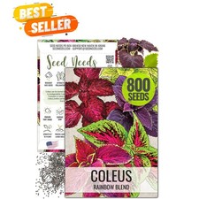800 Heirloom Coleus Seeds - Vibrant Butterfly Garden Mix for Spring Planting
