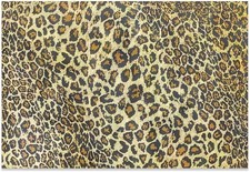 Leopard-print carpet,Premium Leopard Fluffy Rugs,Girls Room Decor Cheetah Print