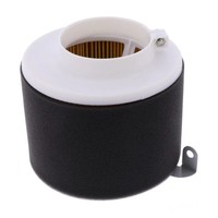 Luftfilter Originalersatzteil FüR Piaggio Carnaby 250 Ie Bj. 2009