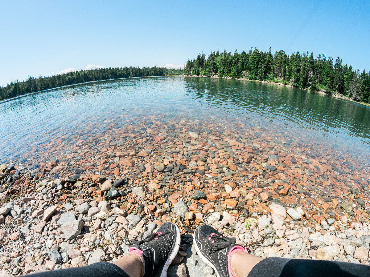 Opteka .35x Wide Angle Fisheye Lens for Nikon D3500 D3400 D3300 D3200 D3100 eBay