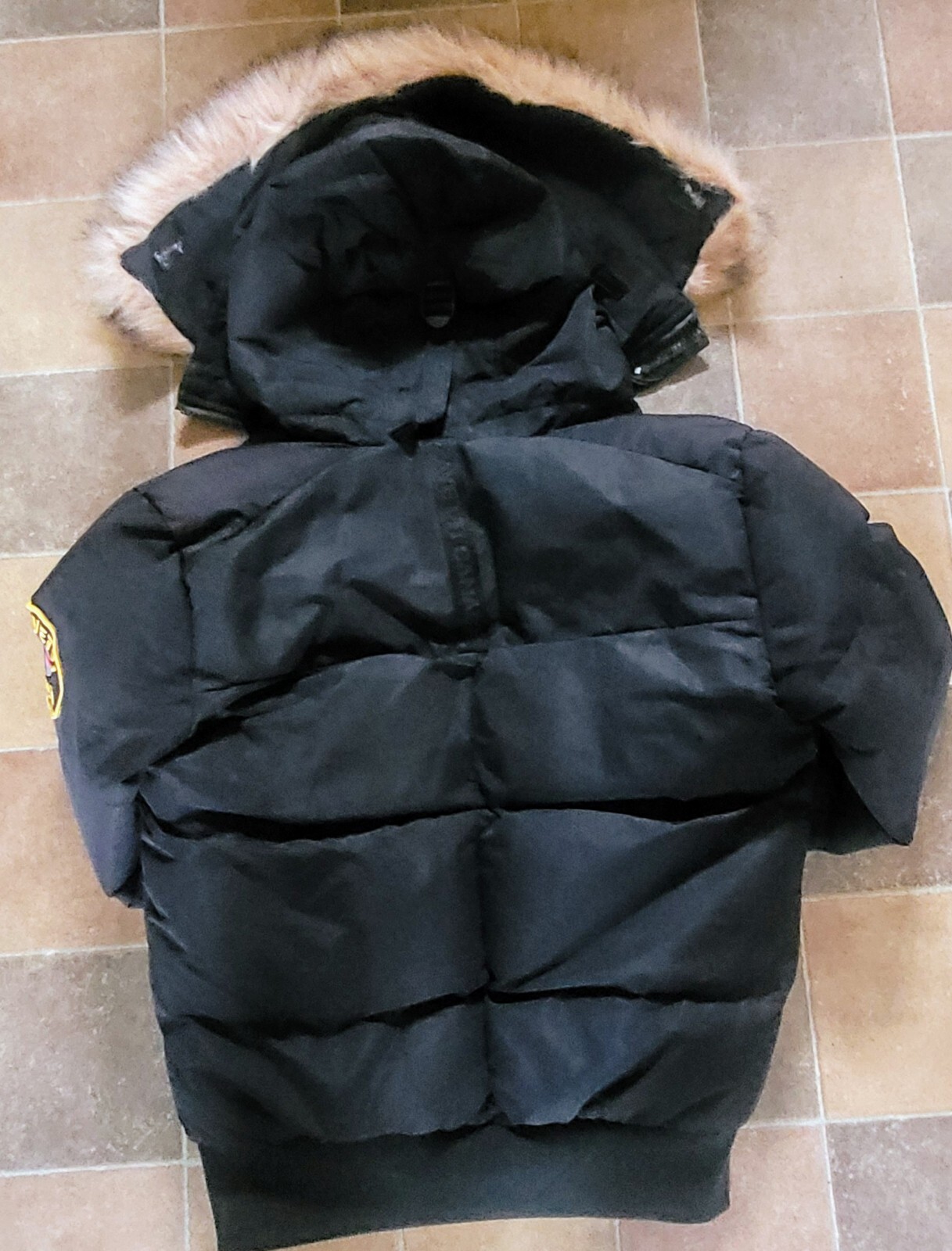 Zavetti Canada Gabellia Faux Fur Padded Bomber Jacket (Small) eBay